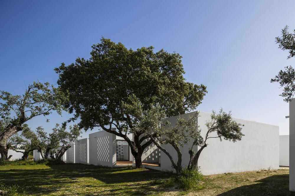 The Lince Ecorkhotel Évora Eksteriør billede
